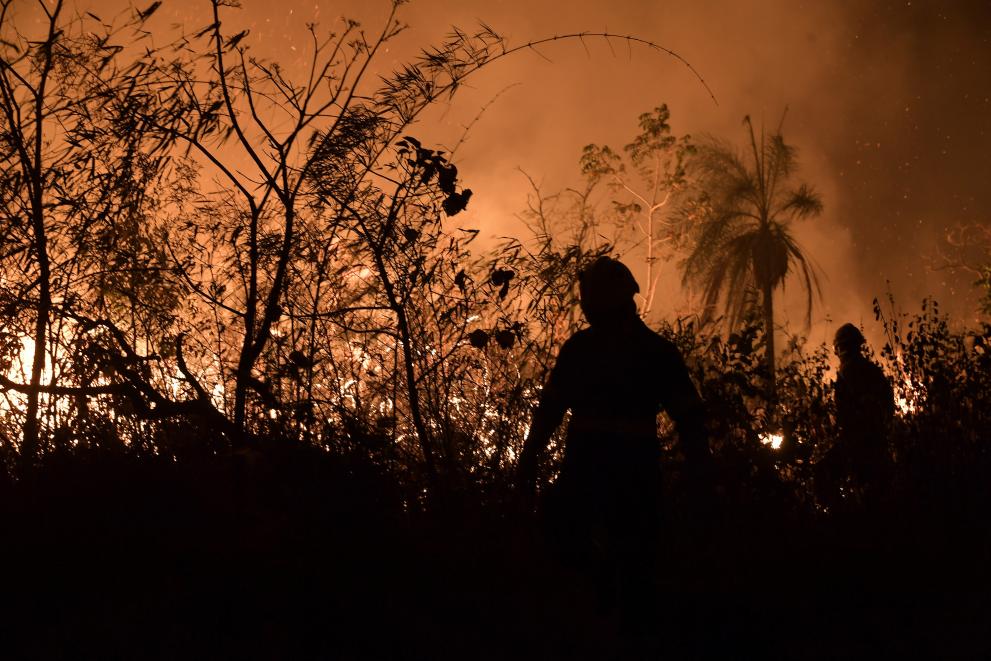Photo: Vue de pompiers près de la forêt en feu