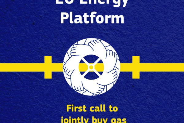 EU Energy Platform